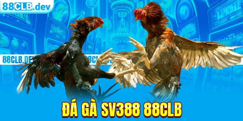 Đá Gà SV388 | Không Gian Cá Độ Ăn Tiền Xanh Chín 2026 - GETOXI