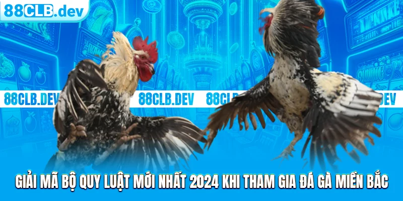 Luật Đá Gà Miền Bắc | Quy Tắc Chung Cho Các Trận Đấu 2026 - GETOXI