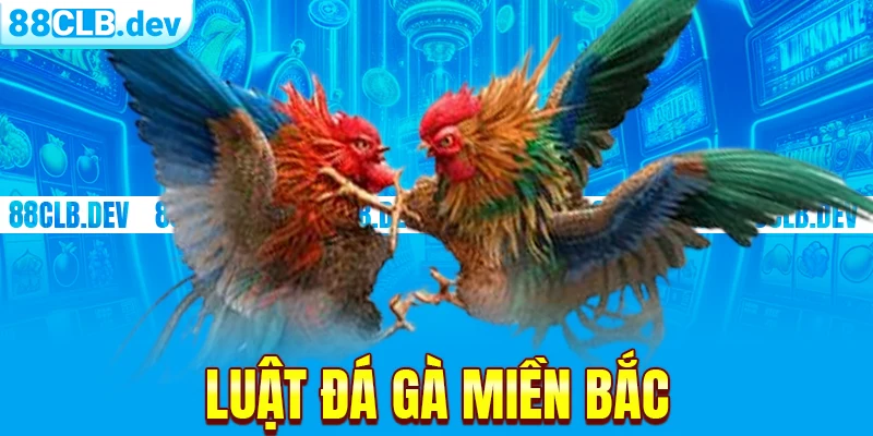 Luật Đá Gà Miền Bắc | Quy Tắc Chung Cho Các Trận Đấu 2026 - GETOXI
