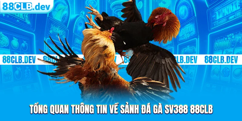 Đá Gà SV388 | Không Gian Cá Độ Ăn Tiền Xanh Chín 2026 - GETOXI