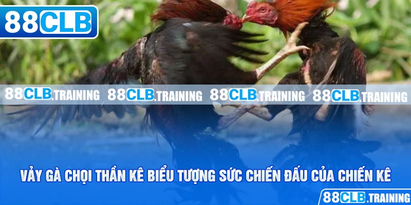 Vảy Gà Chọi Thần Kê Mang May Mắn Và Tài Lộc Cho Người Chơi - GETOXI