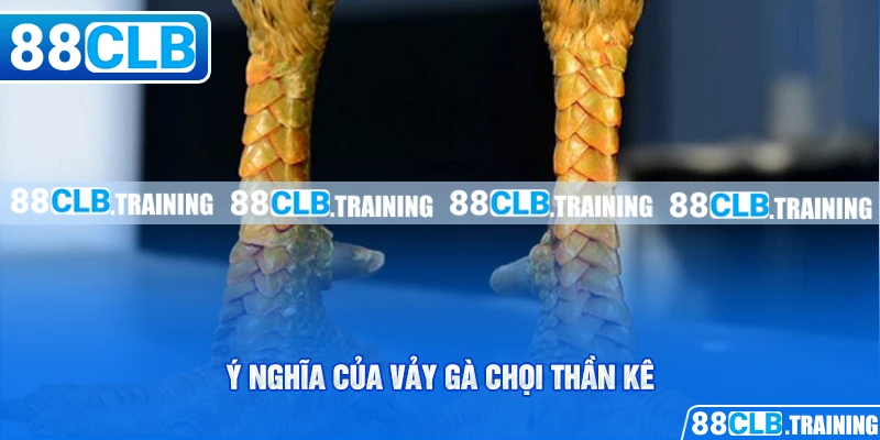 Vảy Gà Chọi Thần Kê Mang May Mắn Và Tài Lộc Cho Người Chơi - GETOXI