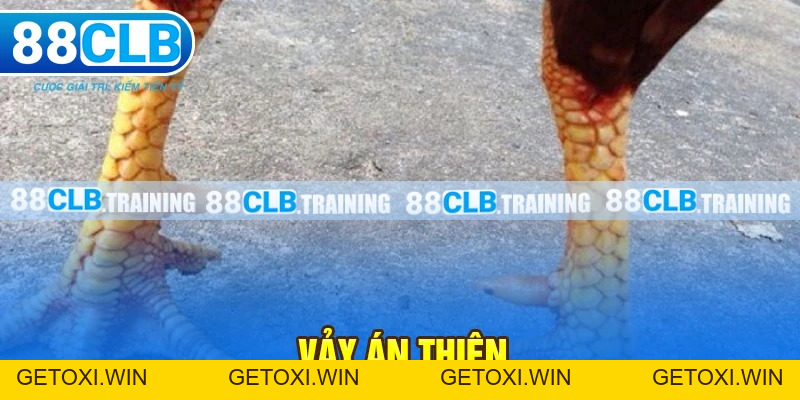 Tin Tức 88CLB - GETOXI
