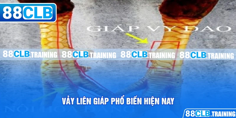 Vảy Liên Giáp Là Gì? Tìm Hiểu Thông Tin Về Loại Vảy Hiếm Gặp - GETOXI