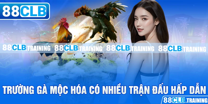 Trường Gà Mộc Hóa – Nơi Hội Tụ Những Trận Đấu Hấp Dẫn - GETOXI