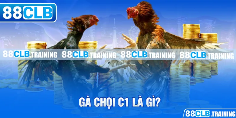 Gà Chọi C1 - Trận Đấu Của Những Chiến Kê Dũng Mãnh, Thiện Chiến - GETOXI