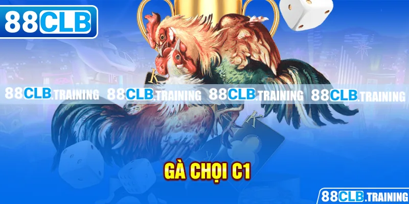 Gà Chọi C1 - Trận Đấu Của Những Chiến Kê Dũng Mãnh, Thiện Chiến - GETOXI