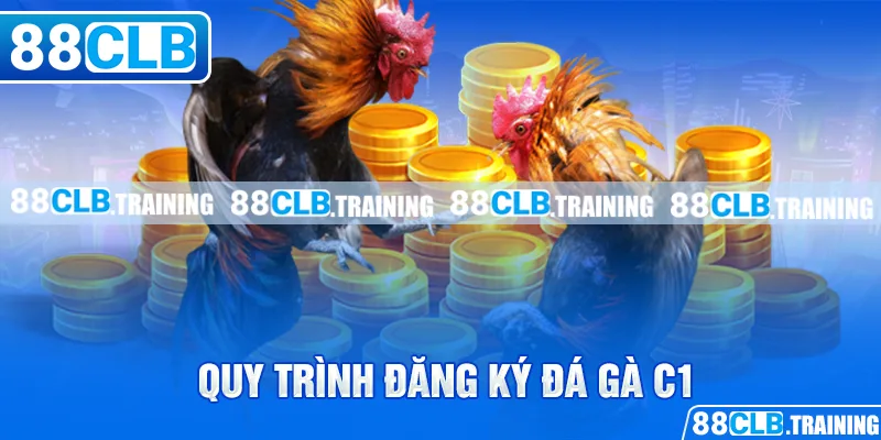 Gà Chọi C1 - Trận Đấu Của Những Chiến Kê Dũng Mãnh, Thiện Chiến - GETOXI