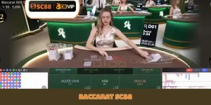 SC88 ⚜️ Trang Chủ SC88.COM Chính Thức 2026【SC 888 +8.888K】 - GETOXI