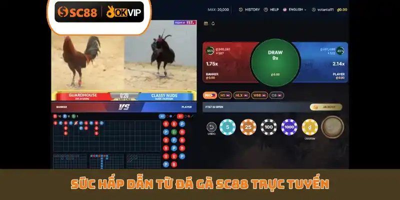 Top 5 Mẹo Chơi Đá Gà SC88 Luôn Thắng - Bí Kíp Cao Thủ - GETOXI