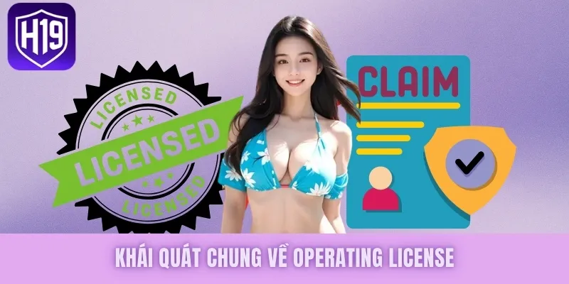 Giấy Phép Hoạt Động - Khẳng Định Uy Tín Và Chất Lượng - GETOXI