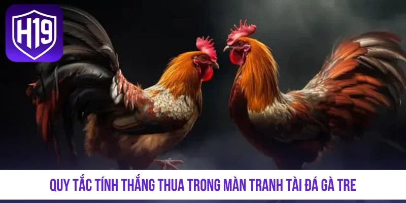 Đá Gà Tre Thomo - Tận Hưởng Những Màn Tranh Tài Nảy Lửa - GETOXI